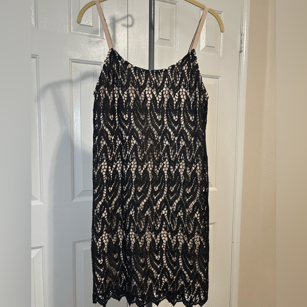 Alice + Olivia Black and Nude Lace Slip Dress